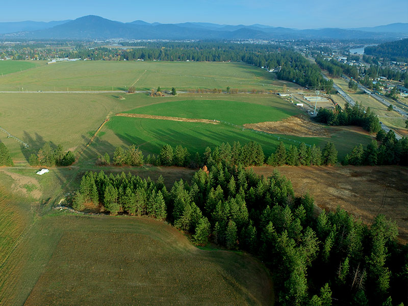 View of farmland in study area.